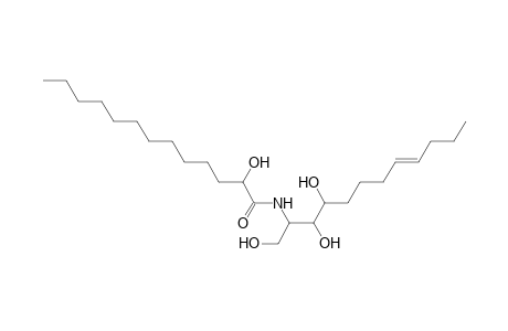Cer 12:1;3O/13:0;(2OH)