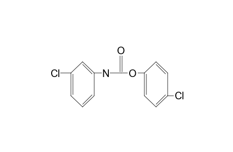 m-chlorocarbanilic acid, p-chlorophenyl ester
