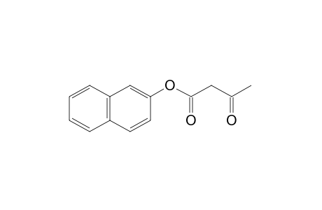 acetoacetic acid, 2-naphthyl ester