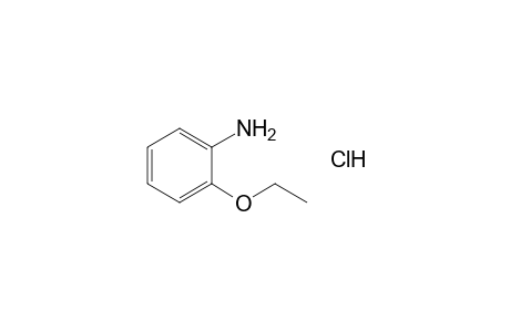 o-phenetidine, hydrochloride