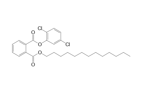 Phthalic acid, 2,5-dichlorophenyl tridecyl ester