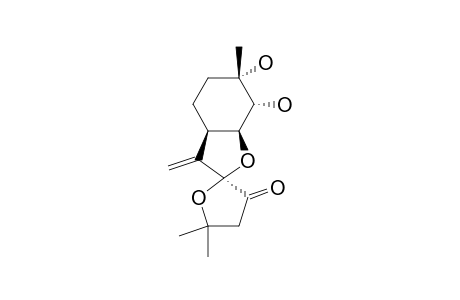 PLEUROSPIROKETAL_B