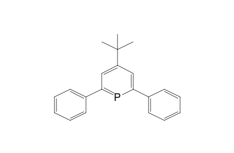 4-tert-Butyl-2,6-diphenylphosphinine