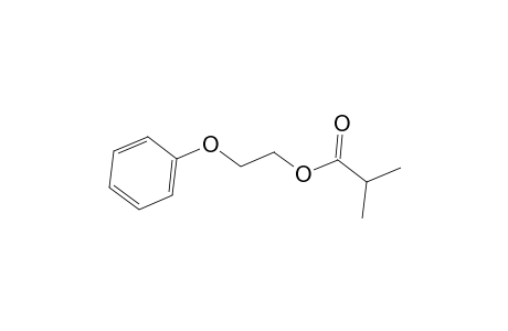 2-Phenoxyethyl isobutyrate