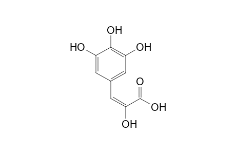 (E)-2-hydroxy-3-(3,4,5-trihydroxyphenyl)-2-propenoic acid