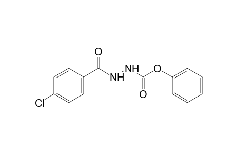 p-chlorobenzoic acid, 2-carboxyhydrazide, phenyl ester