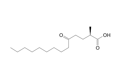 (R)-2-Methyl-5-oxotetradecanoic acid