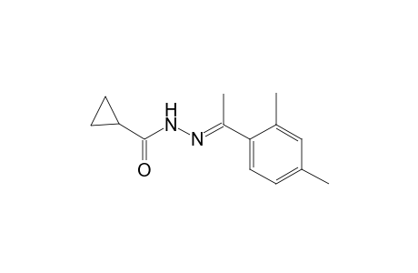 N'-[(E)-1-(2,4-dimethylphenyl)ethylidene]cyclopropanecarbohydrazide