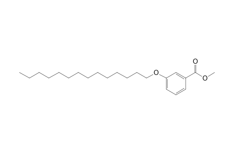 m-(tetradecyloxy)benzoic acid, methyl ester