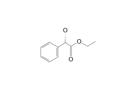 Ethyl (S)-(+)-mandelate