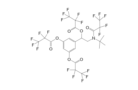 Tetra-pentafluoropropionyl derivative of Terbutaline