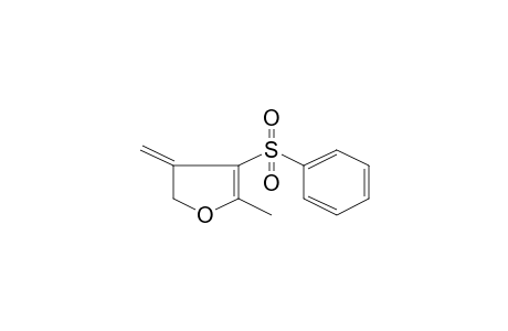 Furan, 4,5-dihydro-2-methyl-4-methylene-3-phenylsulfonyl-