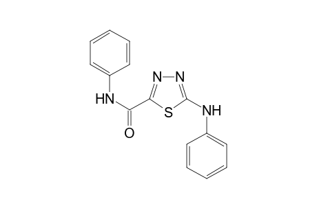 1,3,4-Thiadiazole-2-carboxamide, 5-phenylamino-N-phenyl-