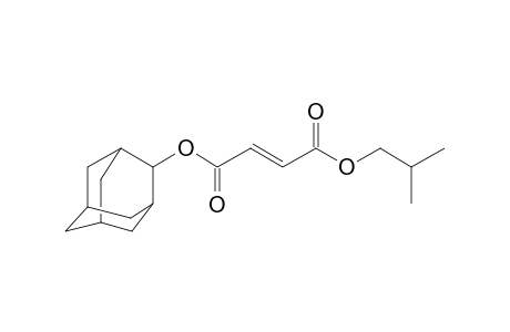 Fumaric acid, 2-adamantyl isobutyl ester