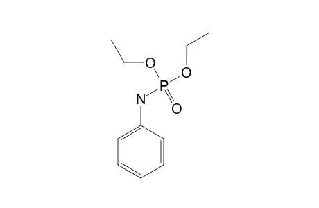 Phosphoramidic acid, phenyl-, diethyl ester