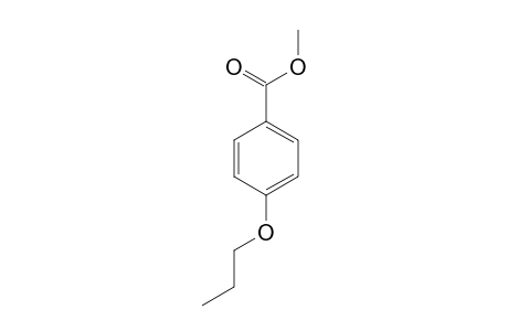 Benzoic acid,4-propyloxy, methyl ester