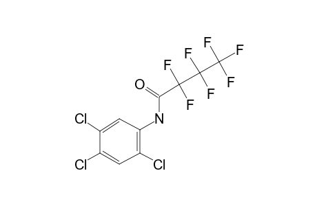 2,4,5-Trichloroaniline, N-heptafluorobutyryl-