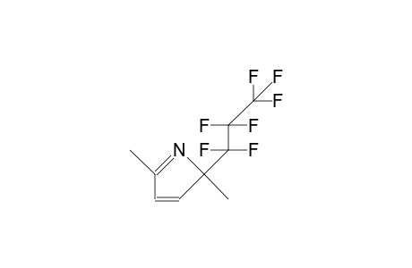 2-Heptafluoropropyl-2,5-dimethyl-2H-pyrrole