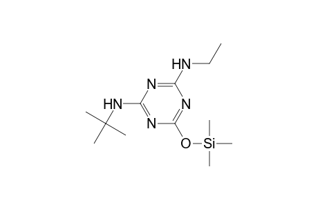 1,3,5-Triazine-2,4-diamine, N-(1,1-dimethylethyl)-N'-ethyl-6-[(trimethylsilyl)oxy]-