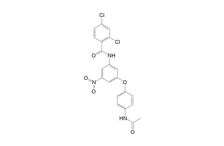 N-[3-(4-acetamidophenoxy)-5-nitro-phenyl]-2,4-bis(chloranyl)benzamide