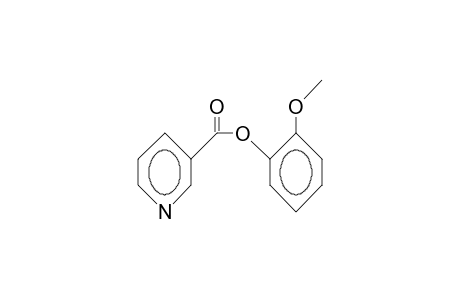 nicotinic acid, o-methoxyphenyl ester