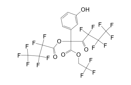 mHMA-TFE-di-HFB