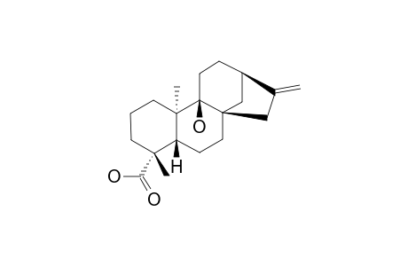 ENT-9-ALPHA-HYDROXY-16-KAUREN-19-OIC-ACID