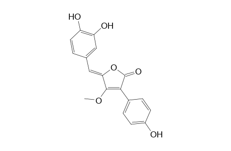 5-(3,4'-DIHYDROXYPHENYL)-METHYLENE-3(4''-HYDROXYPHENYL)-4-METHOXYFURAN-2(5H)-ONE