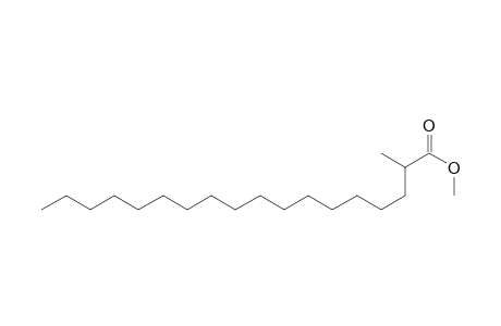 Octadecanoic acid, 2-methyl-, methyl ester