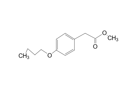 (p-butoxyphenyl)acetic acid, methyl ester