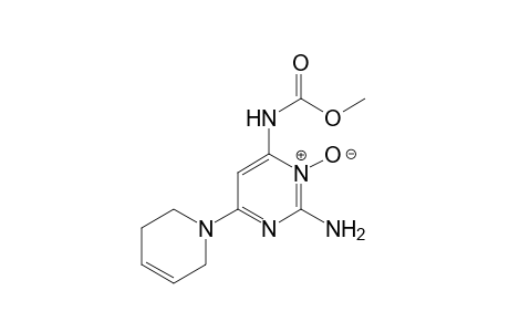 2-amino-6-(1,2,3,6-tetrahydro-1-pyridyl)-4-pyrimidinecarbamic acid, methyl ester, 3-oxide