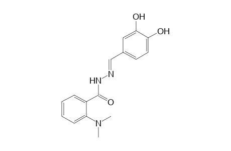 N,N-DIMETHYLANTHRANILIC ACID, (3,4-DIHYDROXYBENZYLIDENE)HYDRAZIDE