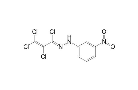 N-(1,2,3,3-Tetrachloroallylidene)-N'-(3-nitrophenyl)hydrazine