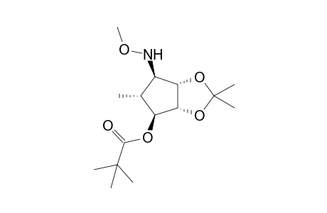 (1R,2S,3R,4S,5R)-1-Methoxyamino-2,3-isopropylidenedioxy-4-pivaloyloxy-5-methylcyclopentane