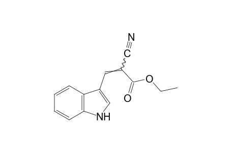 a-cyanoindole-3-acrylic acid, ethyl ester