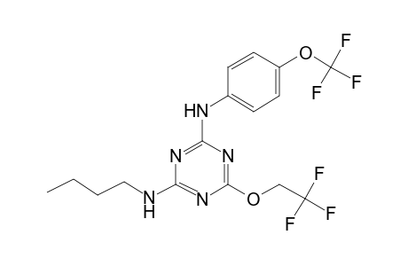 2-N-butyl-6-(2,2,2-trifluoroethoxy)-4-N-[4-(trifluoromethoxy)phenyl]-1,3,5-triazine-2,4-diamine