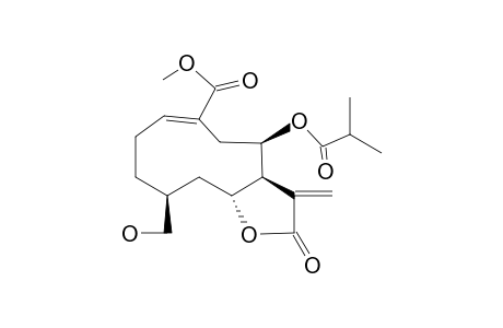 MELNELIN A