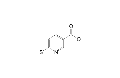 6-Mercaptopyridine-3-carboxylic acid