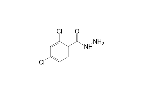 2,4-Dichlorobenzoic acid hydrazide