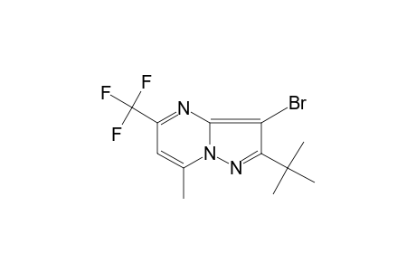 3-bromo-2-tert-butyl-7-methyl-5-(trifluoromethyl)pyrazolo[1,5-a]pyrimidine