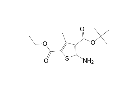 Thiophene-2,4-dicarboxylic acid, 5-amino-3-methyl-, 2-ethyl- 4-(1,1-dimethylethyl) ester