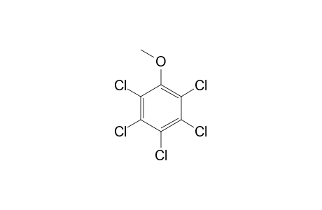 Pentachloroanisole