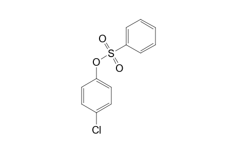 benzenesulfonic acid, p-chlorophenyl ester