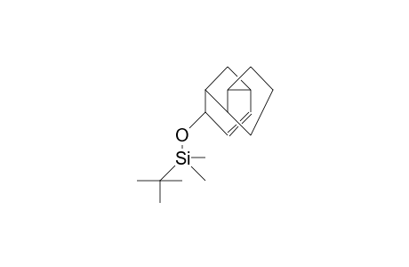 Compound-#19