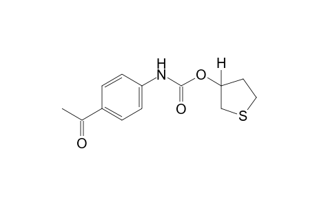 p-acetylcarbanilic acid, tetrahydro-3-thienyl ester