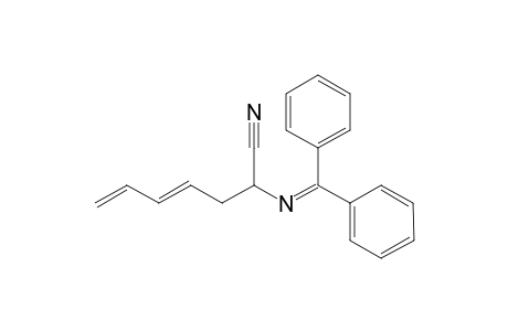 (E)-2-(N-(Diphenylmethylene)amino)hept-4,6-dienenitrile