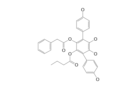 TERRESTRIN-C