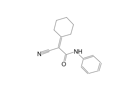 acetamide, 2-cyano-2-cyclohexylidene-N-phenyl-
