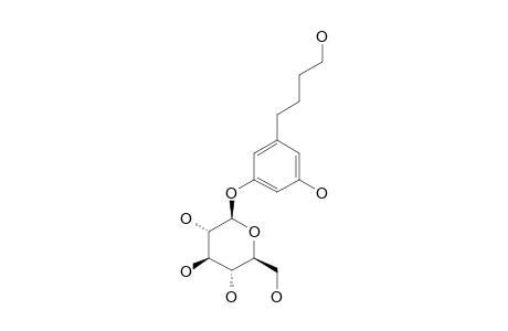 GREVILLOSIDE-D