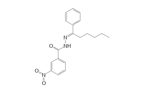 3-Nitro-N-[(E)-1-phenylhexylideneamino]benzamide